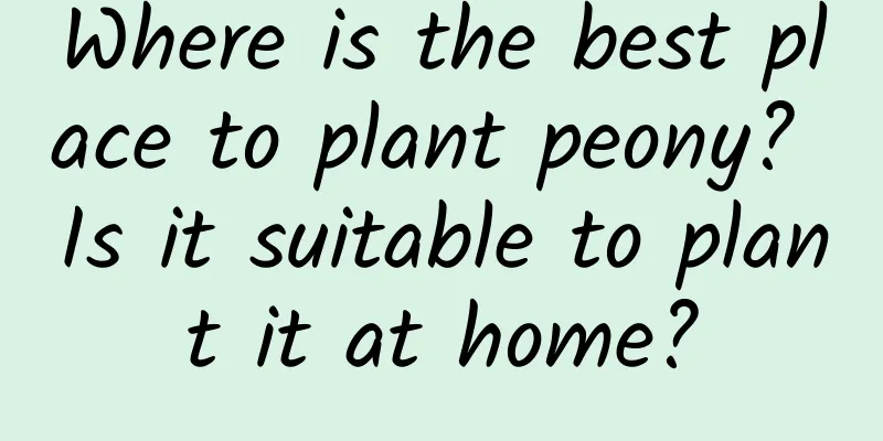 Where is the best place to plant peony? Is it suitable to plant it at home?