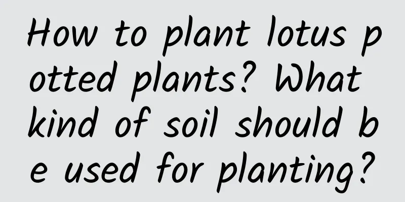 How to plant lotus potted plants? What kind of soil should be used for planting?
