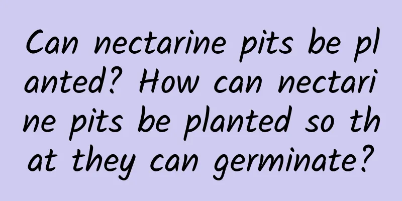 Can nectarine pits be planted? How can nectarine pits be planted so that they can germinate?