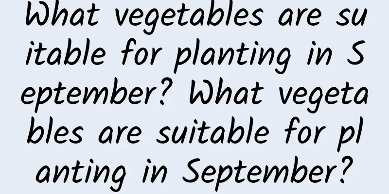 What vegetables are suitable for planting in September? What vegetables are suitable for planting in September?