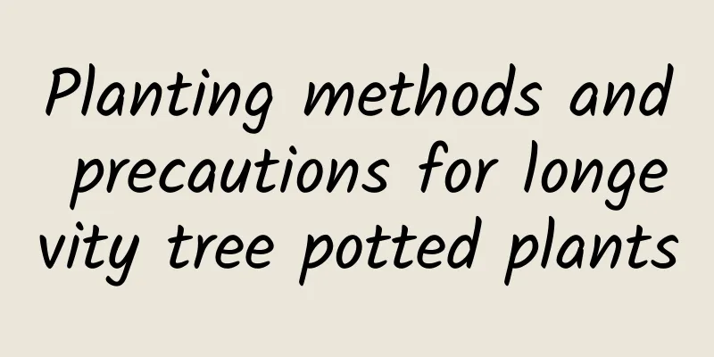 Planting methods and precautions for longevity tree potted plants