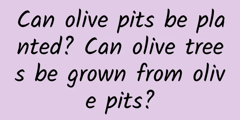 Can olive pits be planted? Can olive trees be grown from olive pits?