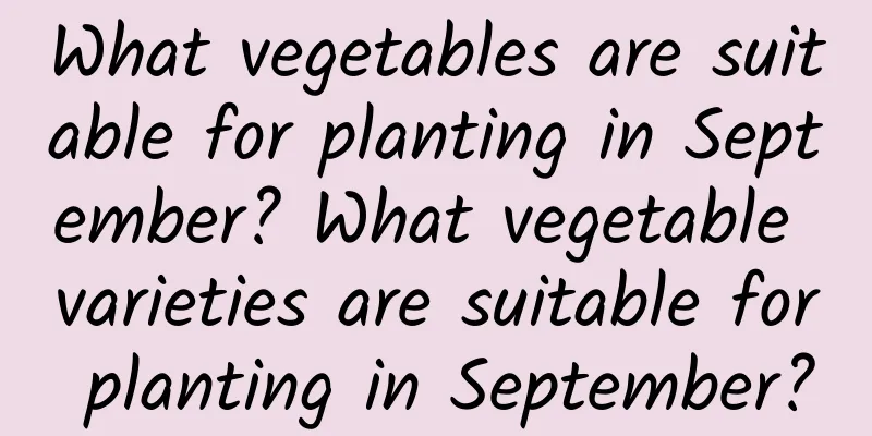 What vegetables are suitable for planting in September? What vegetable varieties are suitable for planting in September?