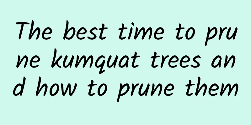 The best time to prune kumquat trees and how to prune them