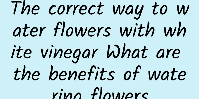 The correct way to water flowers with white vinegar What are the benefits of watering flowers