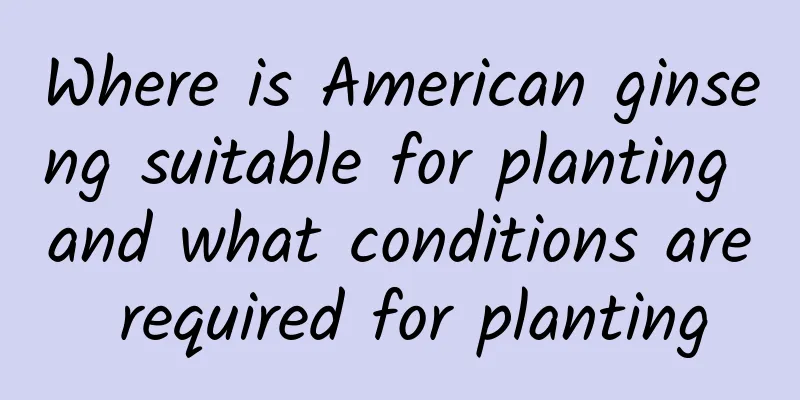 Where is American ginseng suitable for planting and what conditions are required for planting