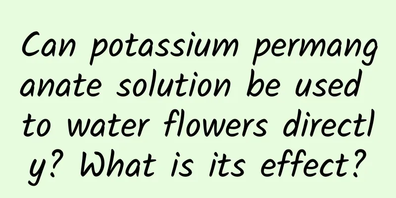 Can potassium permanganate solution be used to water flowers directly? What is its effect?