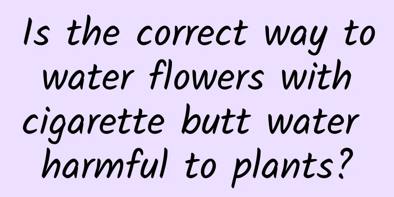 Is the correct way to water flowers with cigarette butt water harmful to plants?