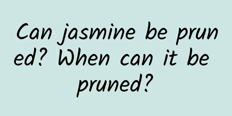 Can jasmine be pruned? When can it be pruned?