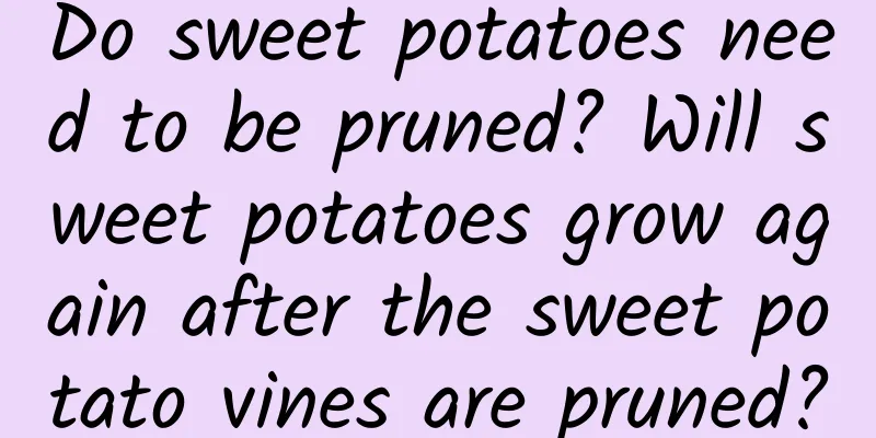Do sweet potatoes need to be pruned? Will sweet potatoes grow again after the sweet potato vines are pruned?