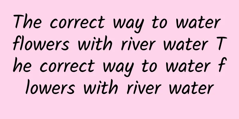 The correct way to water flowers with river water The correct way to water flowers with river water