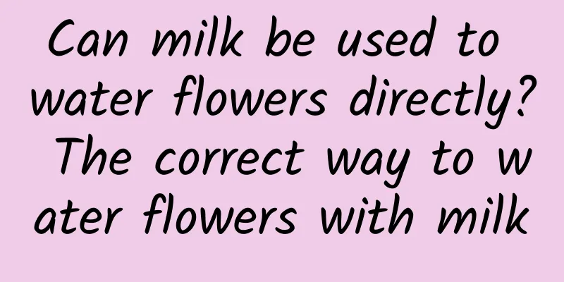 Can milk be used to water flowers directly? The correct way to water flowers with milk