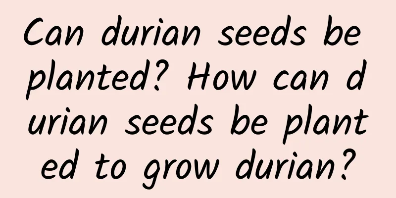 Can durian seeds be planted? How can durian seeds be planted to grow durian?