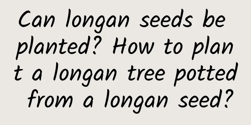 Can longan seeds be planted? How to plant a longan tree potted from a longan seed?