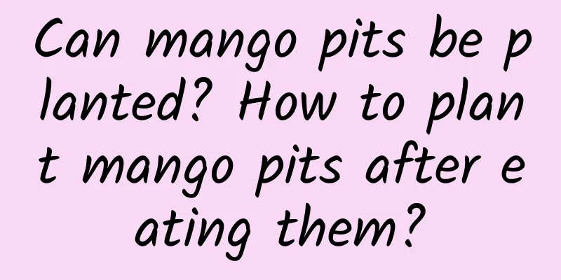 Can mango pits be planted? How to plant mango pits after eating them?