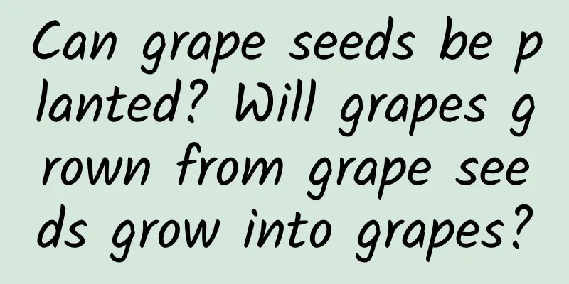 Can grape seeds be planted? Will grapes grown from grape seeds grow into grapes?