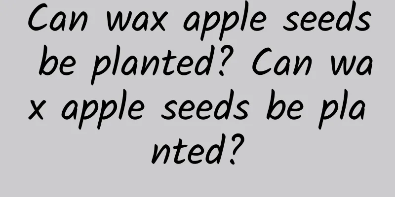 Can wax apple seeds be planted? Can wax apple seeds be planted?