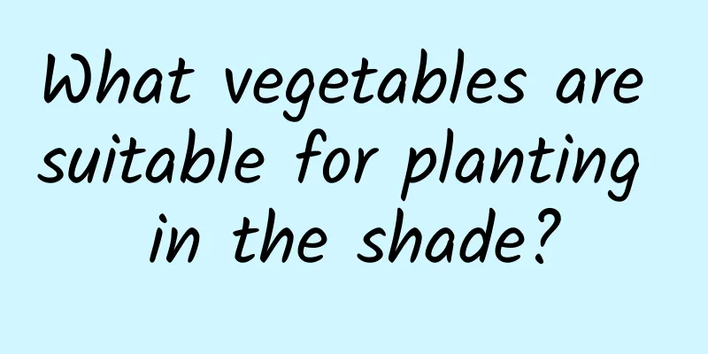 What vegetables are suitable for planting in the shade?