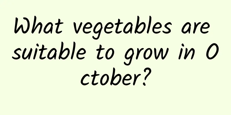 What vegetables are suitable to grow in October?