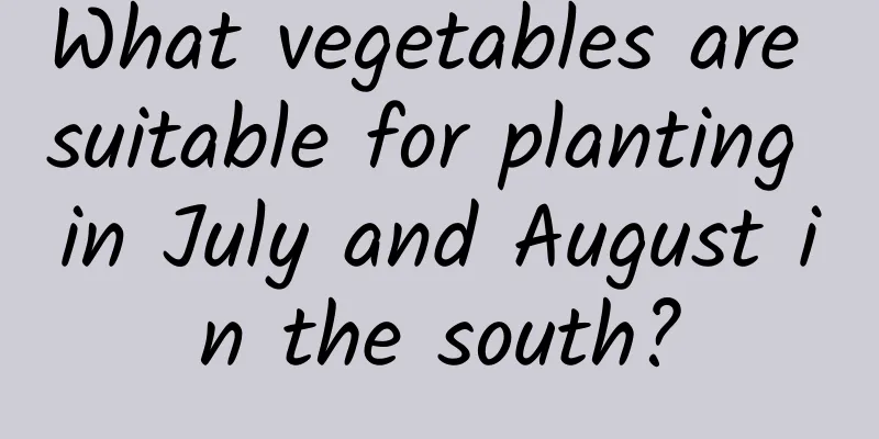 What vegetables are suitable for planting in July and August in the south?