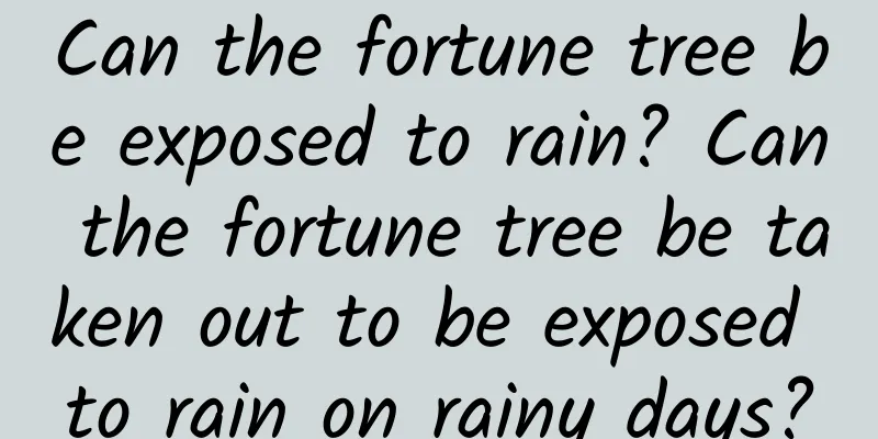 Can the fortune tree be exposed to rain? Can the fortune tree be taken out to be exposed to rain on rainy days?
