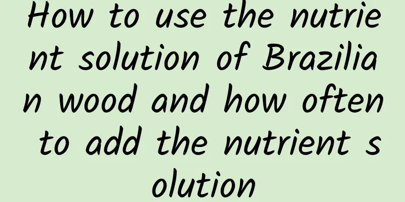 How to use the nutrient solution of Brazilian wood and how often to add the nutrient solution