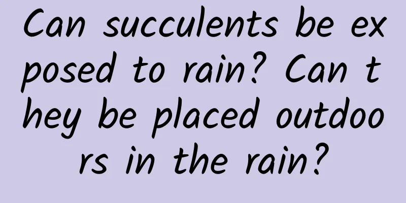 Can succulents be exposed to rain? Can they be placed outdoors in the rain?