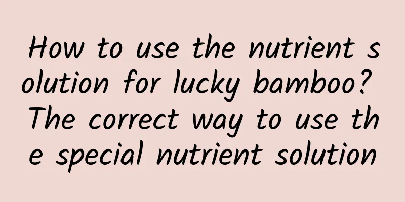 How to use the nutrient solution for lucky bamboo? The correct way to use the special nutrient solution