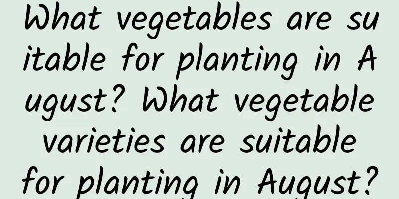 What vegetables are suitable for planting in August? What vegetable varieties are suitable for planting in August?