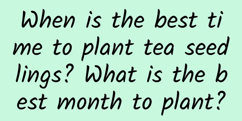 When is the best time to plant tea seedlings? What is the best month to plant?