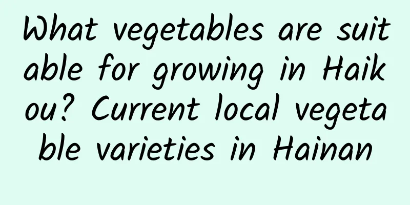 What vegetables are suitable for growing in Haikou? Current local vegetable varieties in Hainan