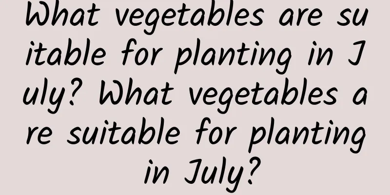 What vegetables are suitable for planting in July? What vegetables are suitable for planting in July?