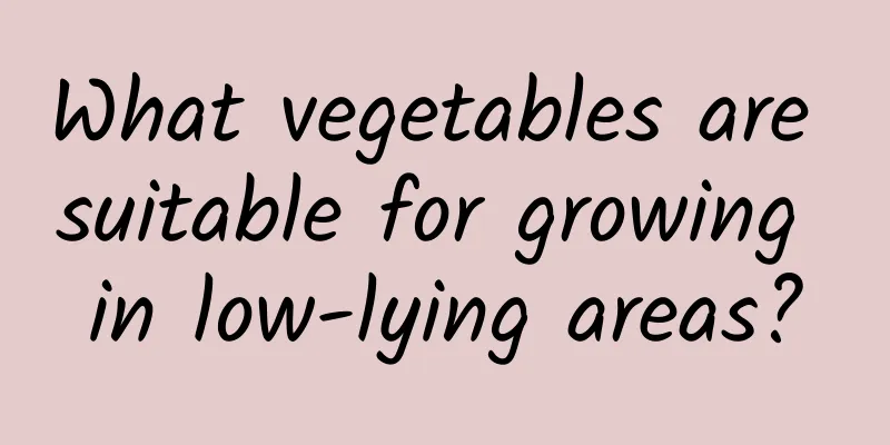 What vegetables are suitable for growing in low-lying areas?