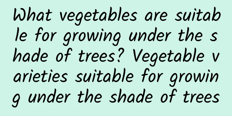 What vegetables are suitable for growing under the shade of trees? Vegetable varieties suitable for growing under the shade of trees