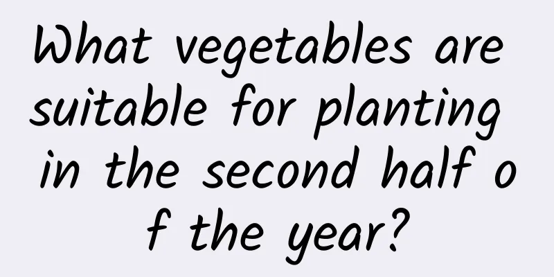 What vegetables are suitable for planting in the second half of the year?