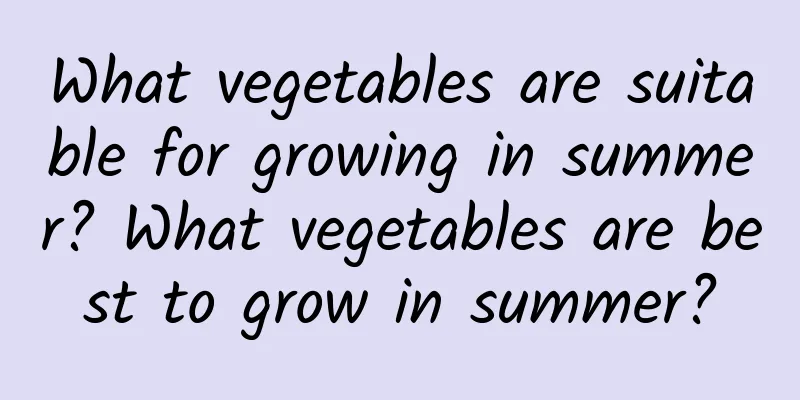 What vegetables are suitable for growing in summer? What vegetables are best to grow in summer?