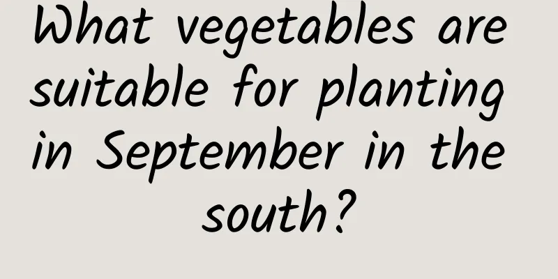 What vegetables are suitable for planting in September in the south?