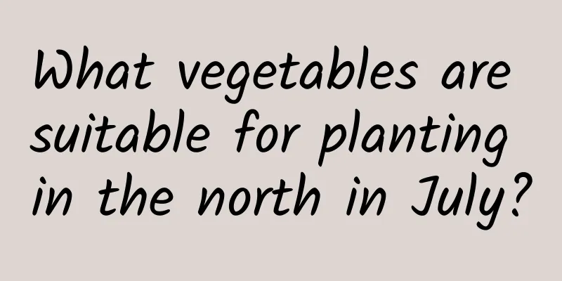 What vegetables are suitable for planting in the north in July?