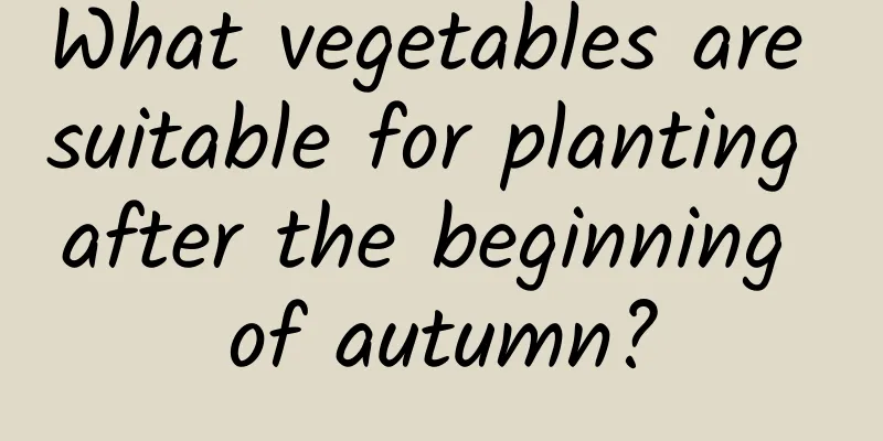 What vegetables are suitable for planting after the beginning of autumn?