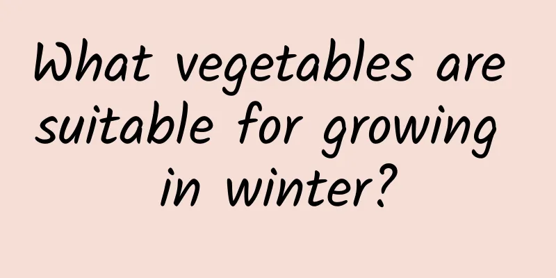 What vegetables are suitable for growing in winter?