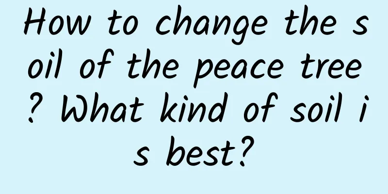 How to change the soil of the peace tree? What kind of soil is best?
