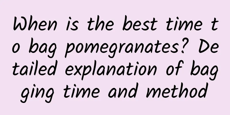 When is the best time to bag pomegranates? Detailed explanation of bagging time and method