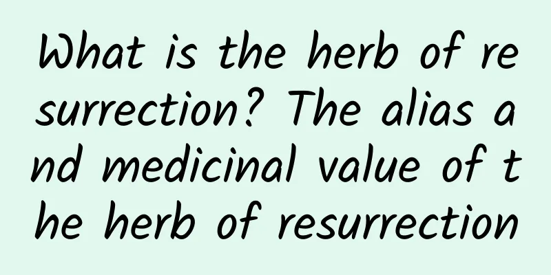 What is the herb of resurrection? The alias and medicinal value of the herb of resurrection