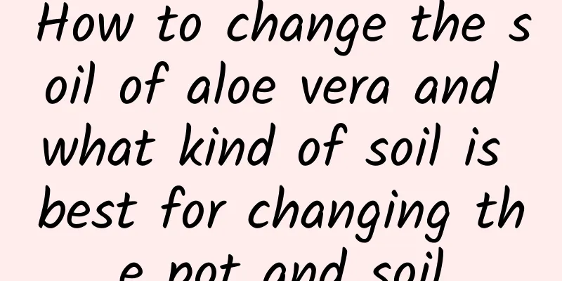 How to change the soil of aloe vera and what kind of soil is best for changing the pot and soil
