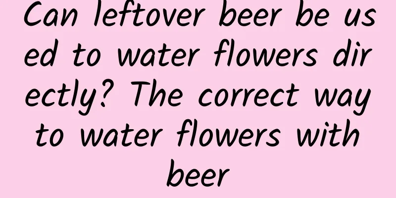 Can leftover beer be used to water flowers directly? The correct way to water flowers with beer