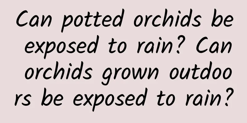 Can potted orchids be exposed to rain? Can orchids grown outdoors be exposed to rain?
