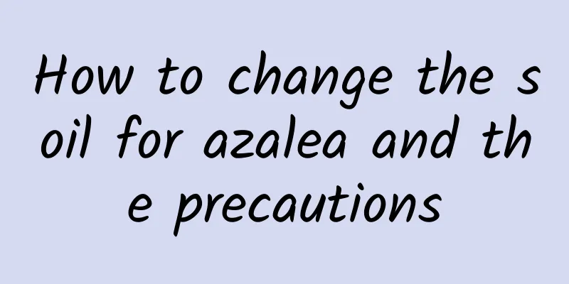 How to change the soil for azalea and the precautions