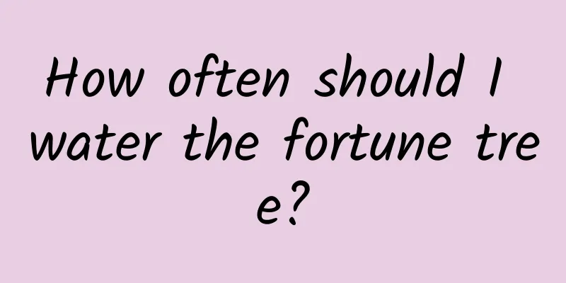 How often should I water the fortune tree?