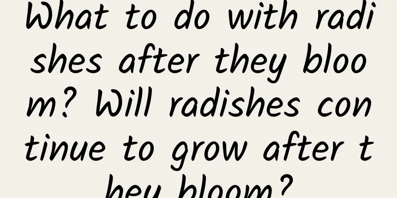 What to do with radishes after they bloom? Will radishes continue to grow after they bloom?