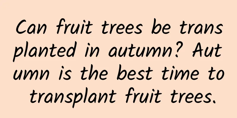 Can fruit trees be transplanted in autumn? Autumn is the best time to transplant fruit trees.